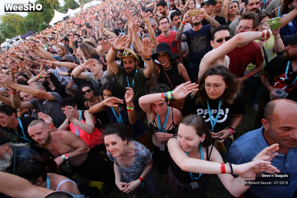 22/50 photos du spectacle Steve'n'Seagulls.