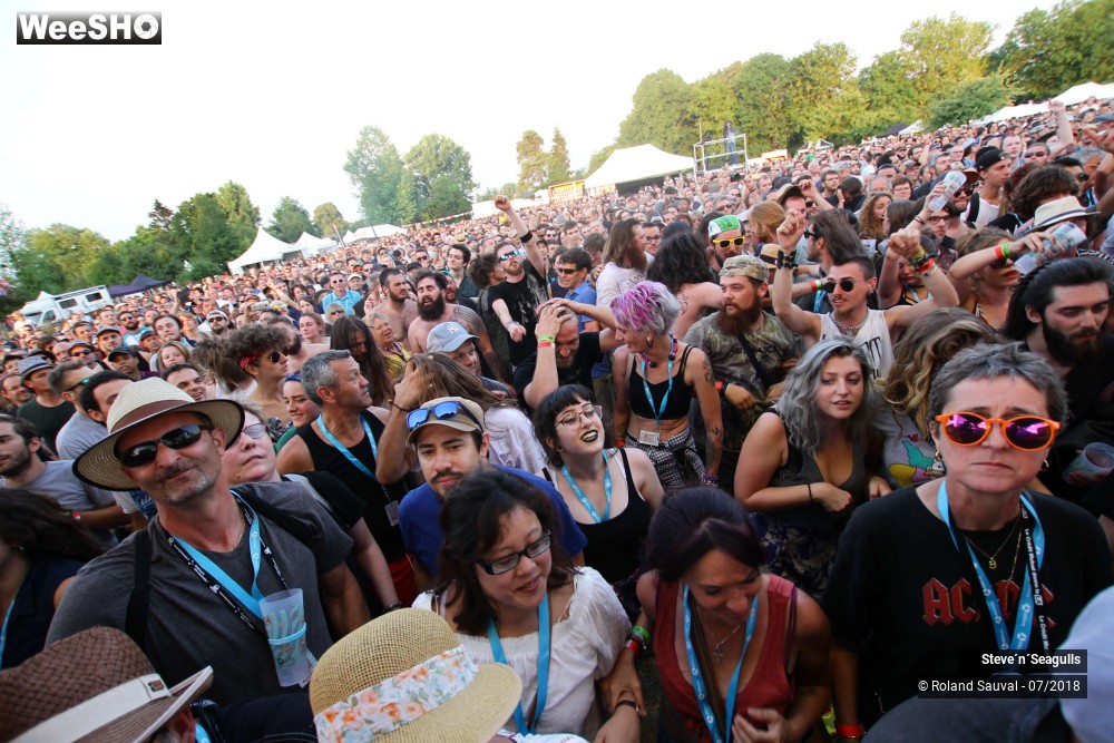 36/50 photos du spectacle Steve'n'Seagulls.