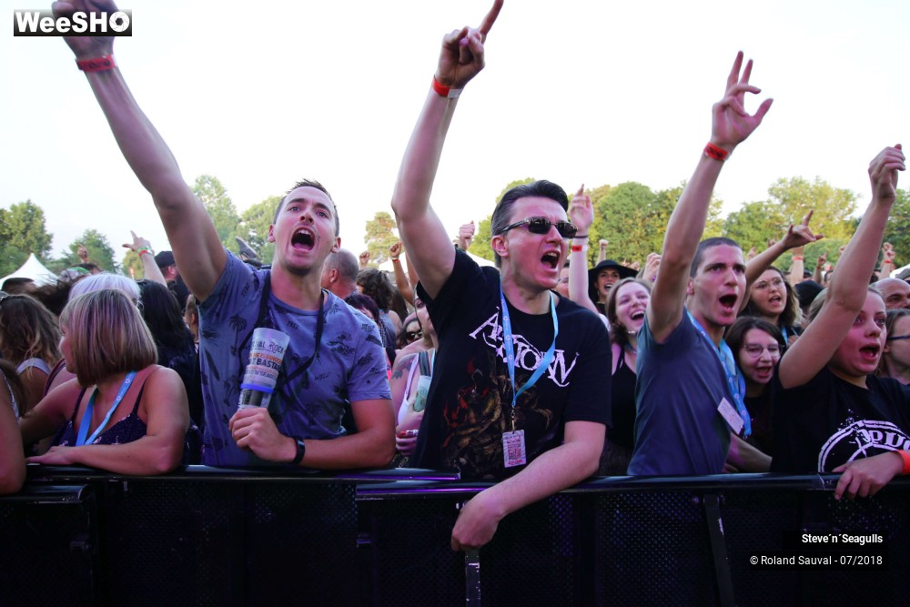 38/50 photos du spectacle Steve'n'Seagulls.