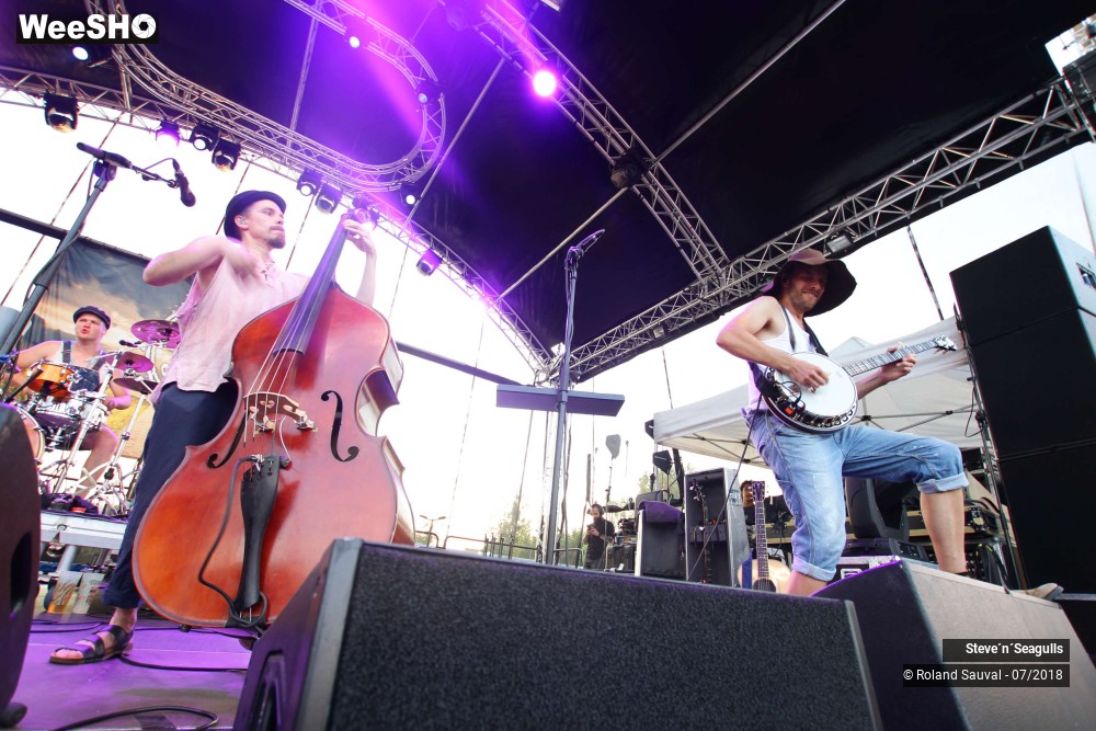 48/50 photos du spectacle Steve'n'Seagulls.