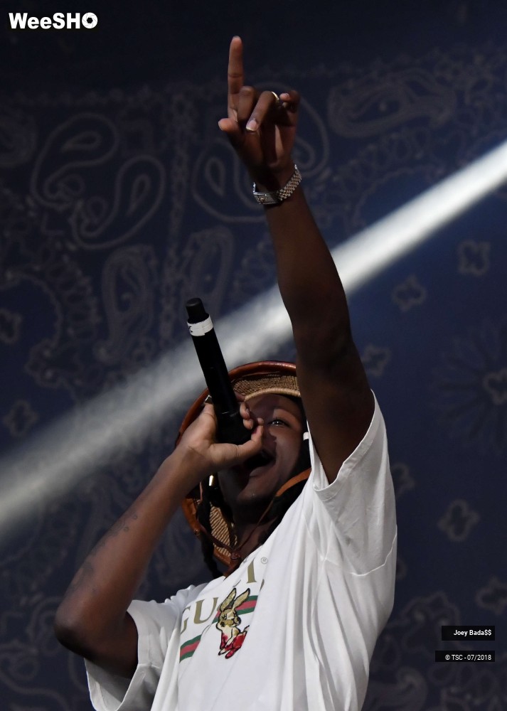 1/12 photos du spectacle Joey Bada$$