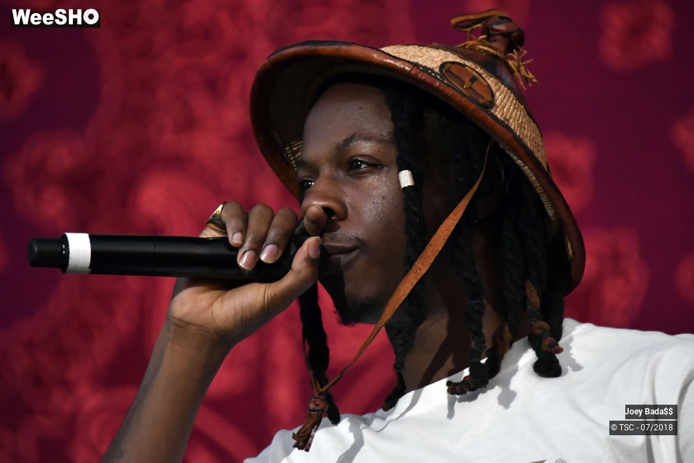 7/12 photos du spectacle Joey Bada$$