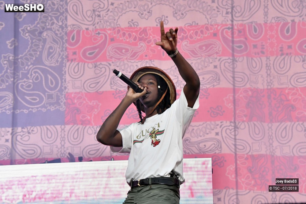 8/12 photos du spectacle Joey Bada$$