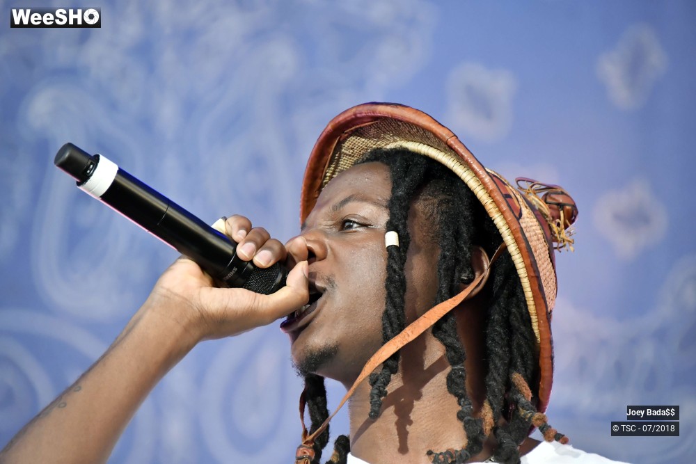 12/12 photos du spectacle Joey Bada$$