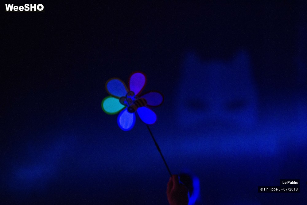 24/48 photos du spectacle Festival Les Nuits Secrètes 2018 Ambiance 2