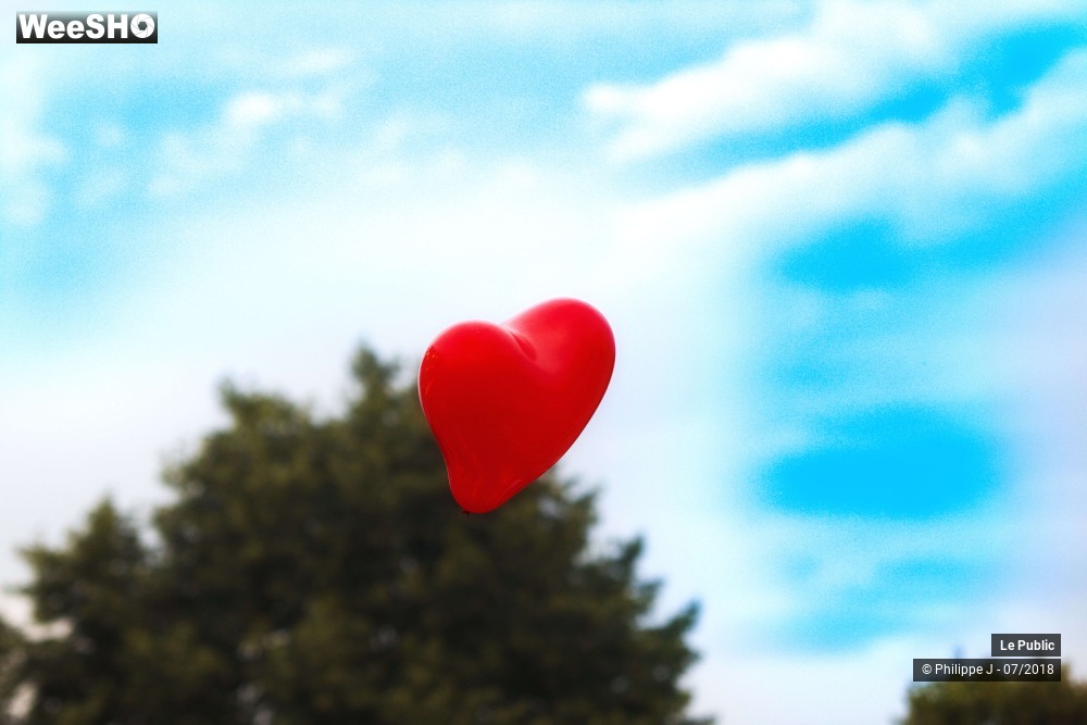 44/48 photos du spectacle Festival Les Nuits Secrètes 2018 Ambiance 2