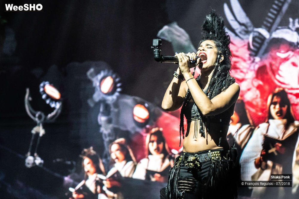 13/26 photos du spectacle Shaka Ponk