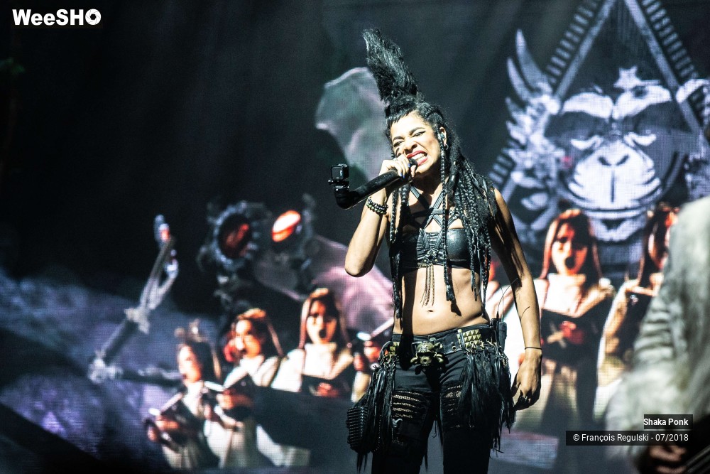 14/26 photos du spectacle Shaka Ponk