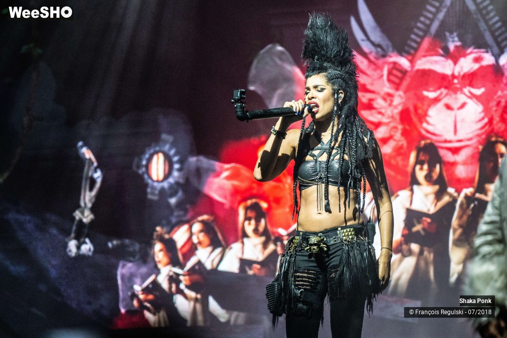 19/26 photos du spectacle Shaka Ponk
