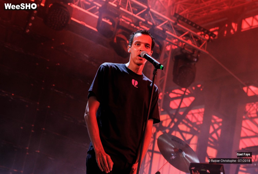 16/30 photos du spectacle Gael Faye