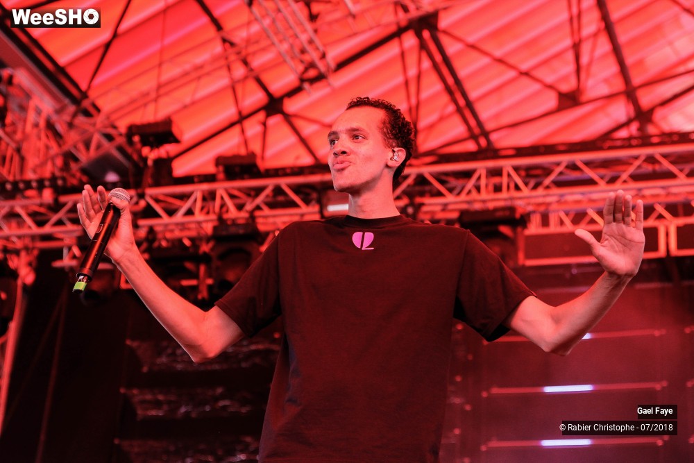 23/30 photos du spectacle Gael Faye