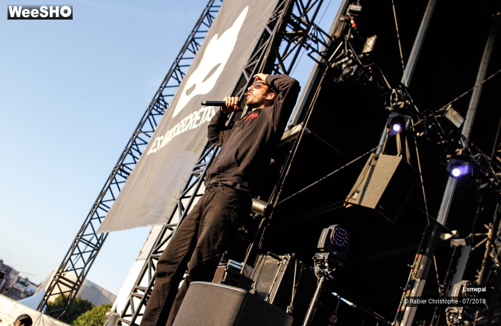 30/34 photos du spectacle Lomepal