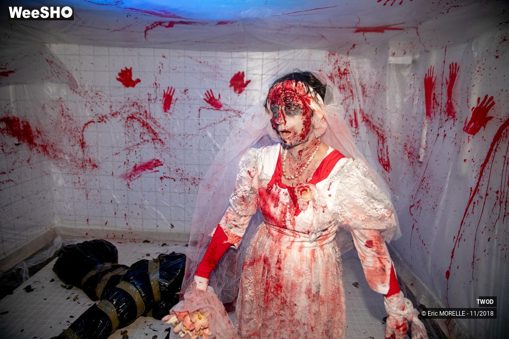 19/50 photos du spectacle TWOD le parcours : L'Abattoir