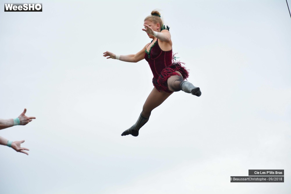 31/48 photos du spectacle L'Odeur de la Sciure