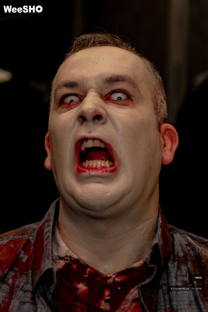 7/50 photos du spectacle TWOD : les maquillages