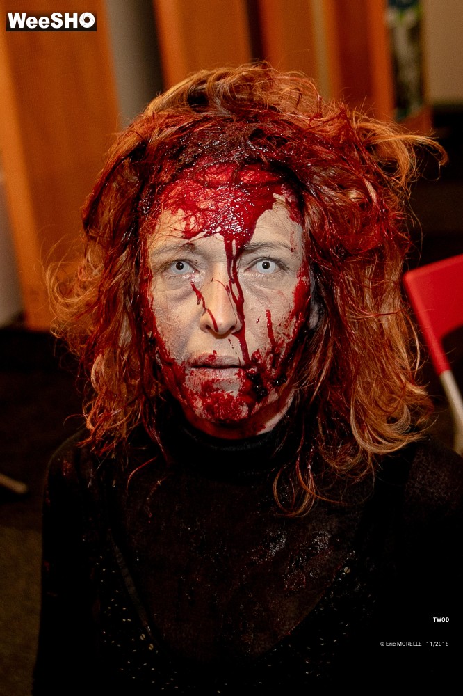 12/50 photos du spectacle TWOD : les maquillages