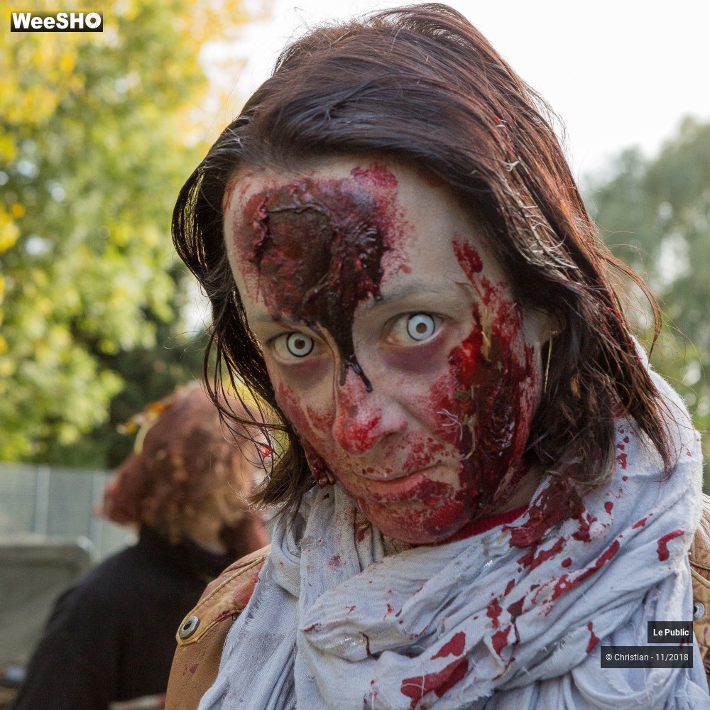 11/30 photos du spectacle TWOD : Le parcours extérieur 1