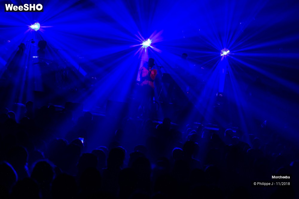 11/16 photos du spectacle Morcheeba