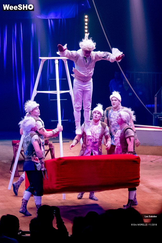 2/50 photos du spectacle Les Sokolov - Acrobatie