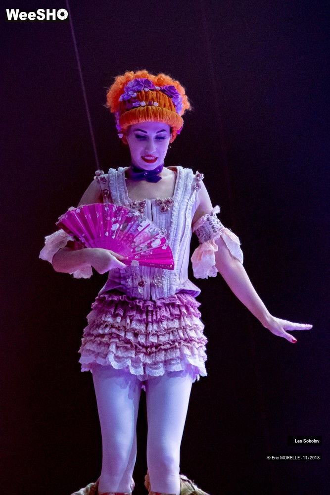 19/50 photos du spectacle Les Sokolov - Acrobatie