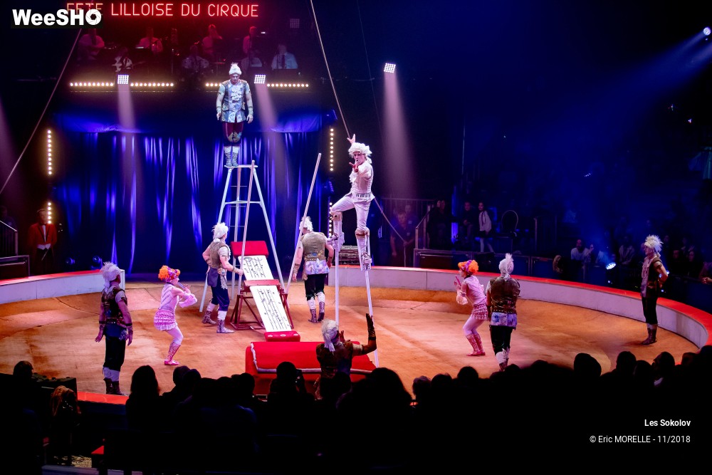 30/50 photos du spectacle Les Sokolov - Acrobatie