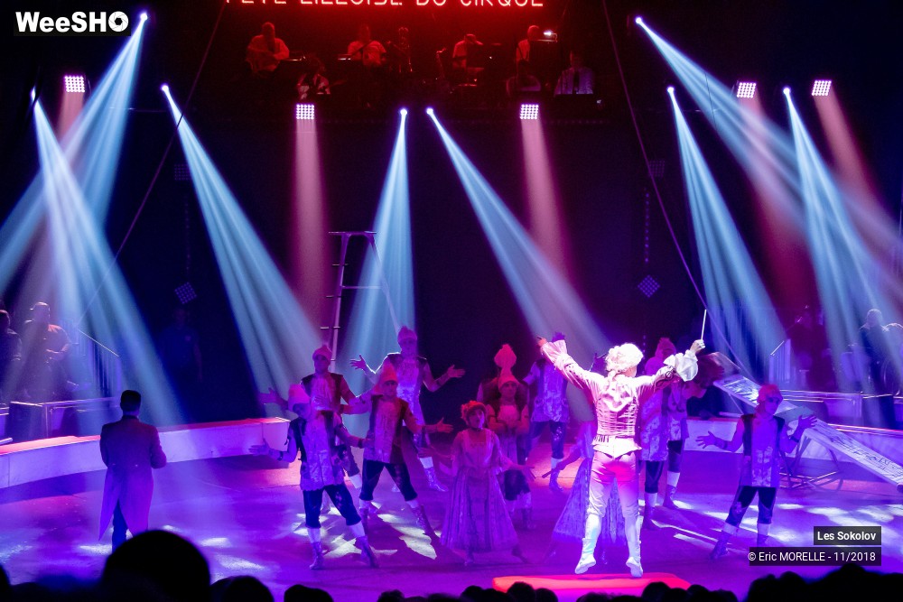 44/50 photos du spectacle Les Sokolov - Acrobatie