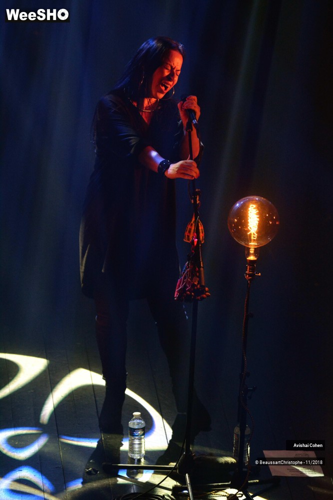 6/33 photos du spectacle Avishai Cohen