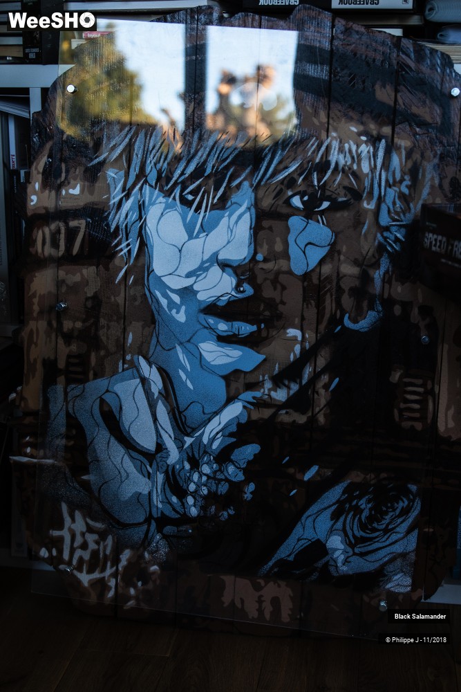 1/12 photos du spectacle Black Salamander