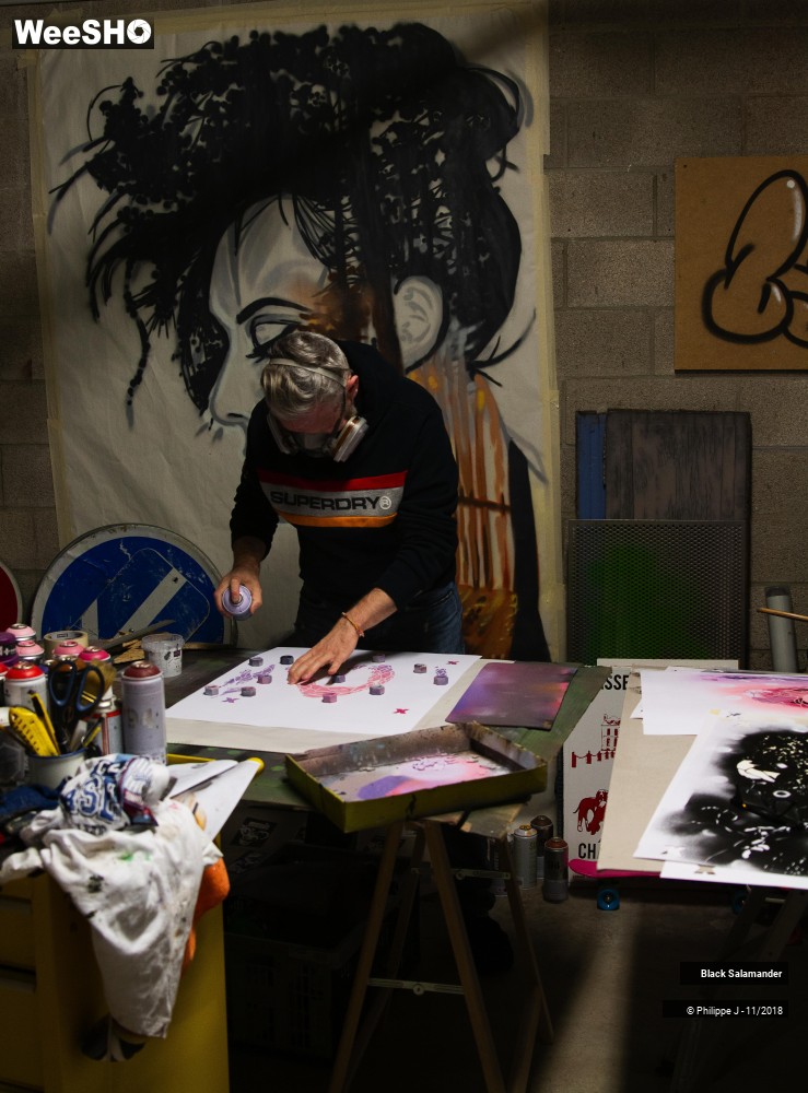 2/12 photos du spectacle Black Salamander