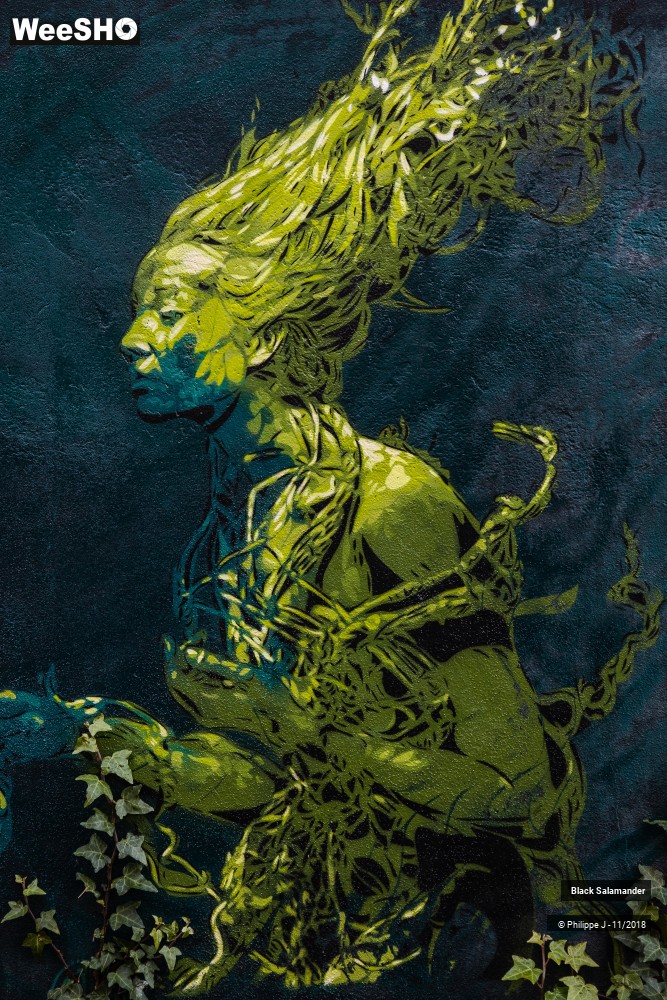 3/12 photos du spectacle Black Salamander
