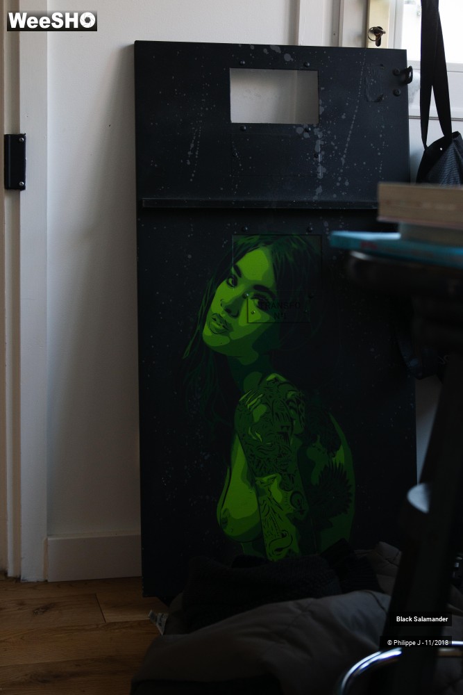 4/12 photos du spectacle Black Salamander