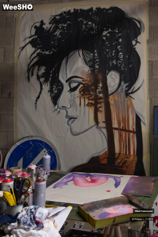 6/12 photos du spectacle Black Salamander