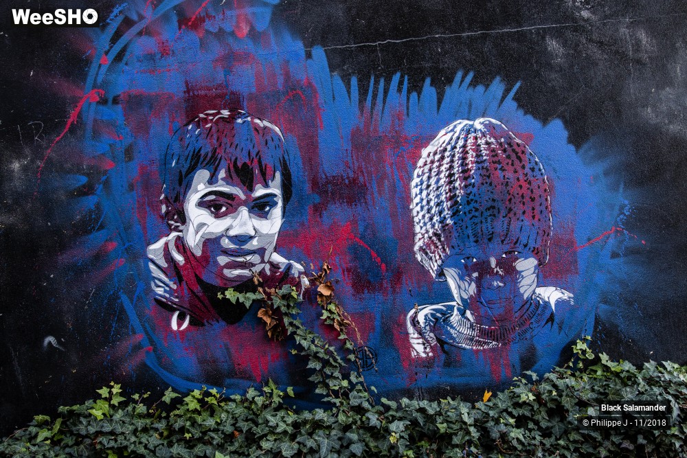 8/12 photos du spectacle Black Salamander