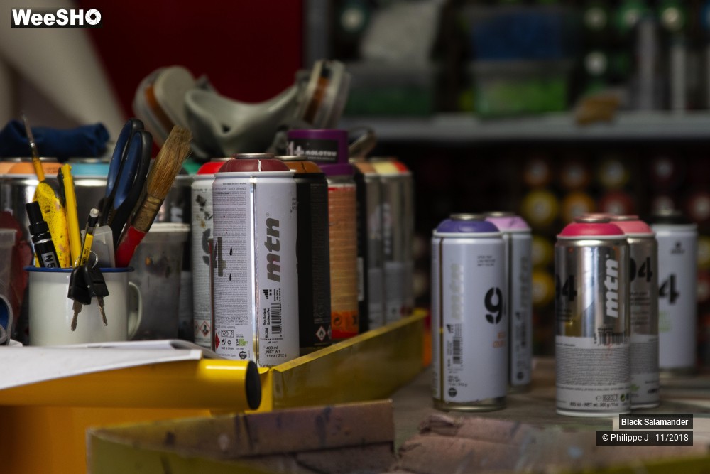 9/12 photos du spectacle Black Salamander