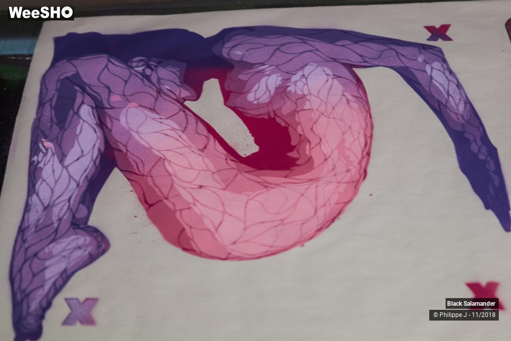 10/12 photos du spectacle Black Salamander