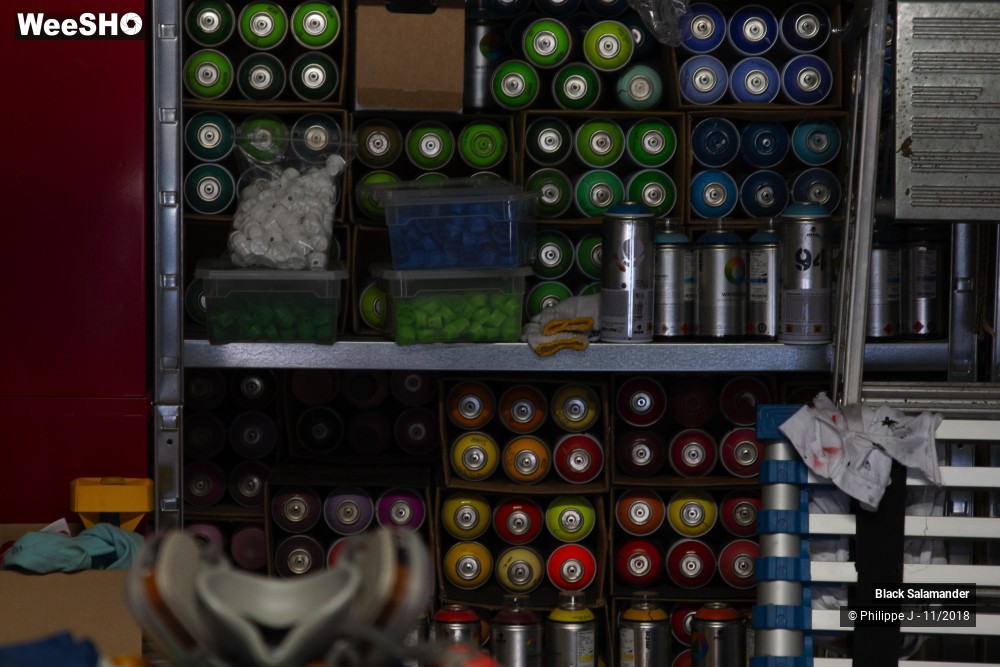 11/12 photos du spectacle Black Salamander