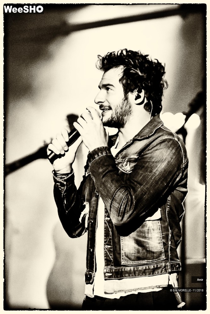 5/50 photos du spectacle Amir