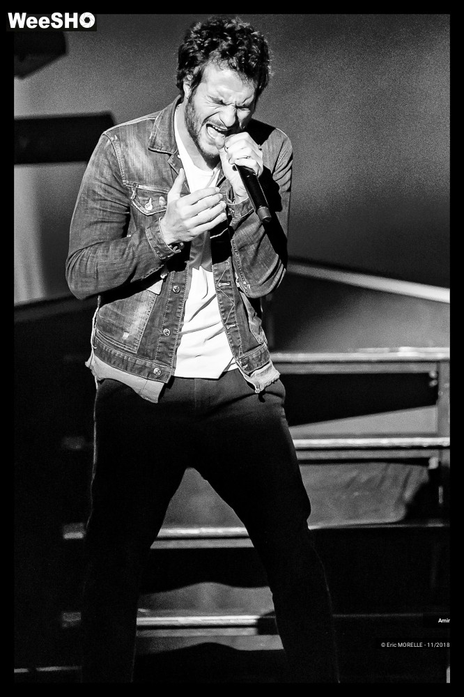 12/50 photos du spectacle Amir