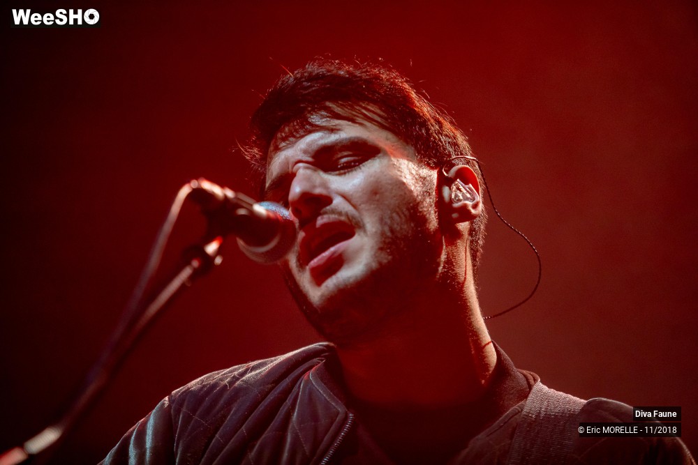 20/50 photos du spectacle Diva Faune