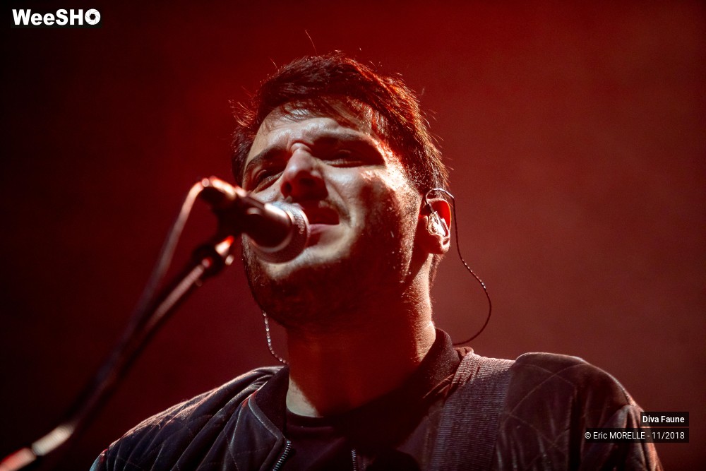 31/50 photos du spectacle Diva Faune