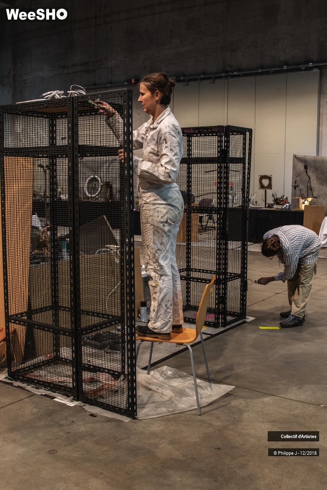 9/44 photos du spectacle Braderie de l'Art 2018