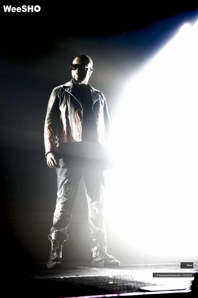 2/41 photos du spectacle Gims