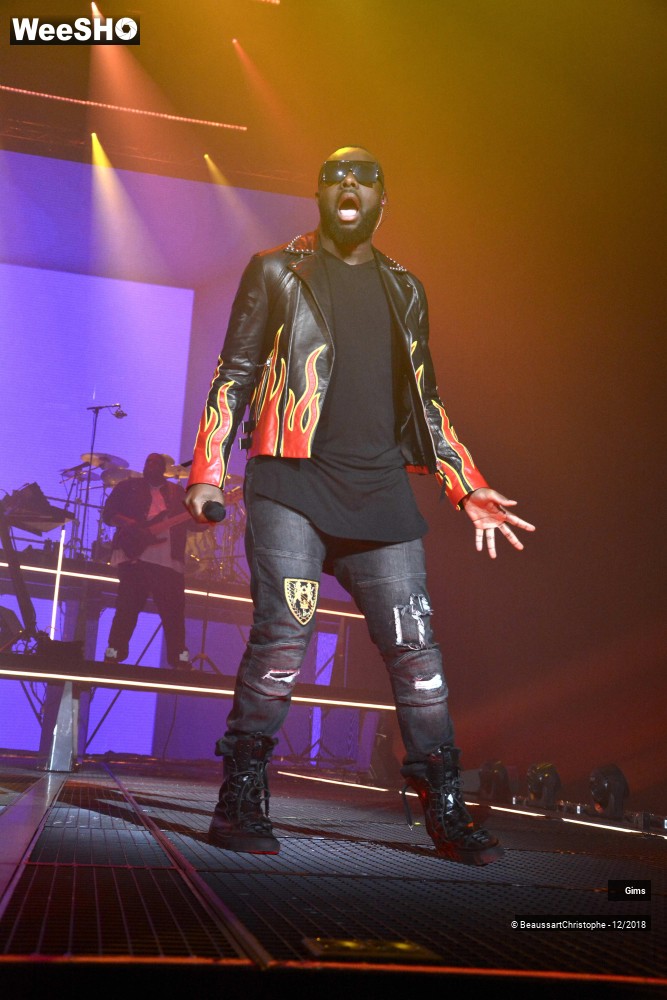 8/41 photos du spectacle Gims