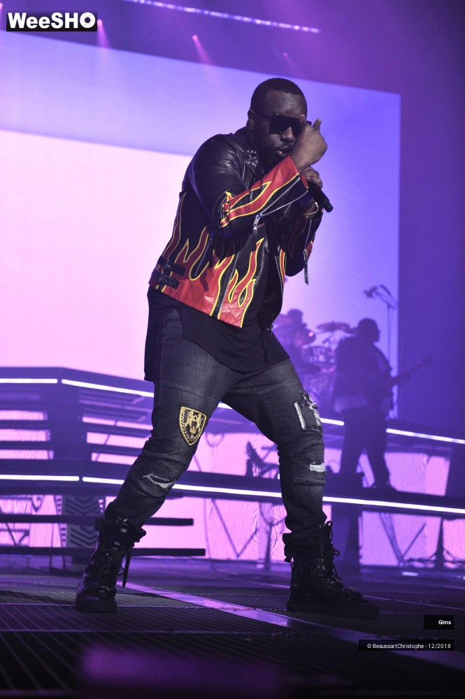 12/41 photos du spectacle Gims