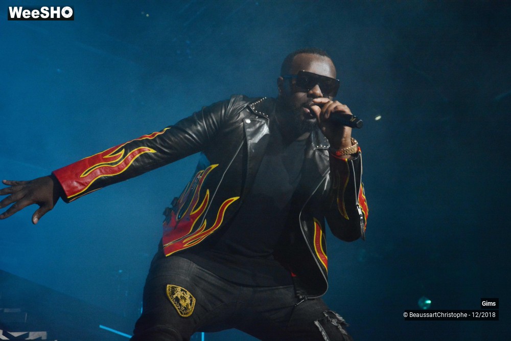 18/41 photos du spectacle Gims