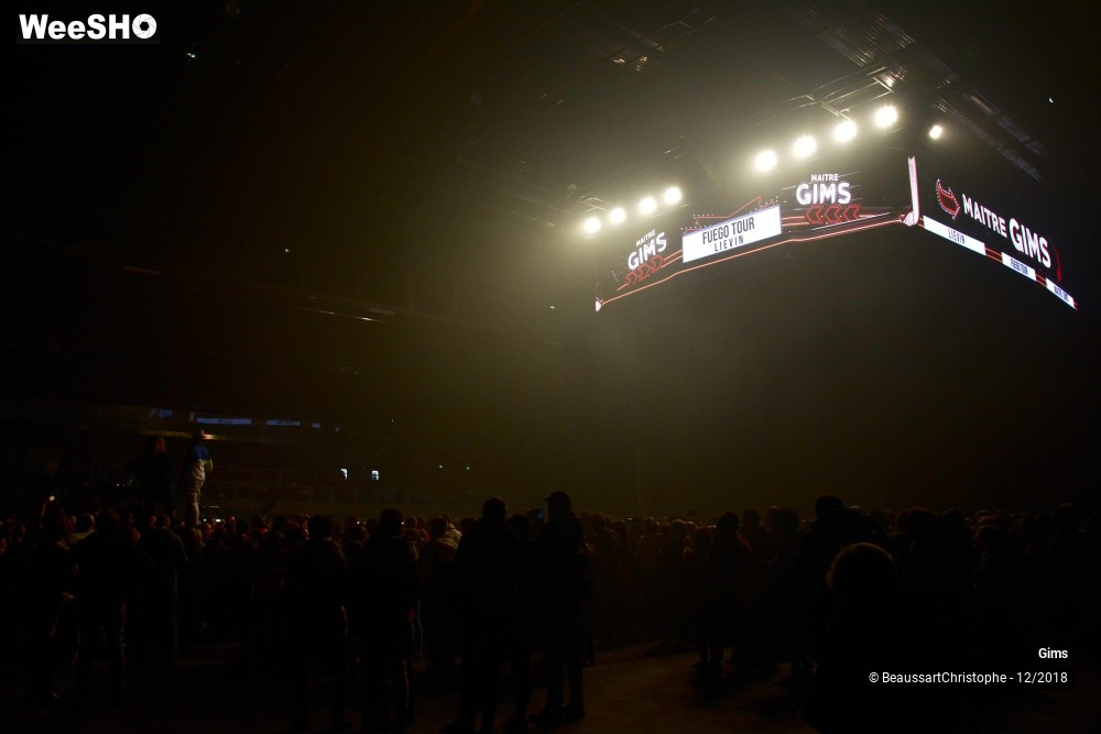20/41 photos du spectacle Gims