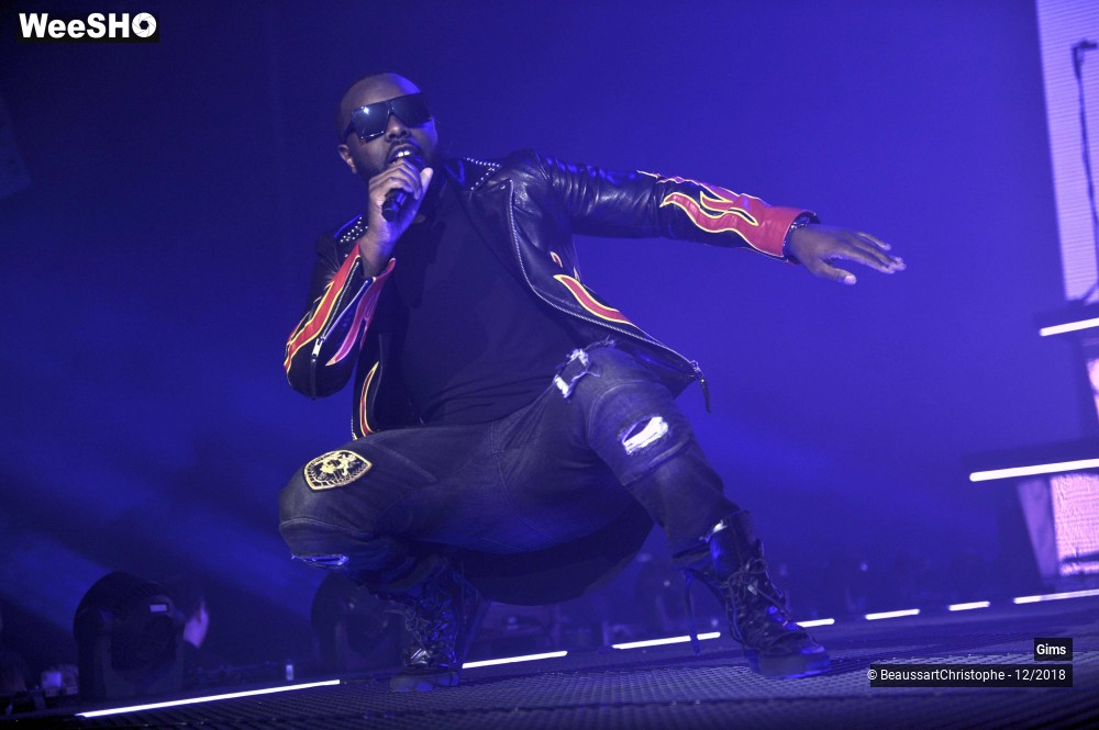 28/41 photos du spectacle Gims