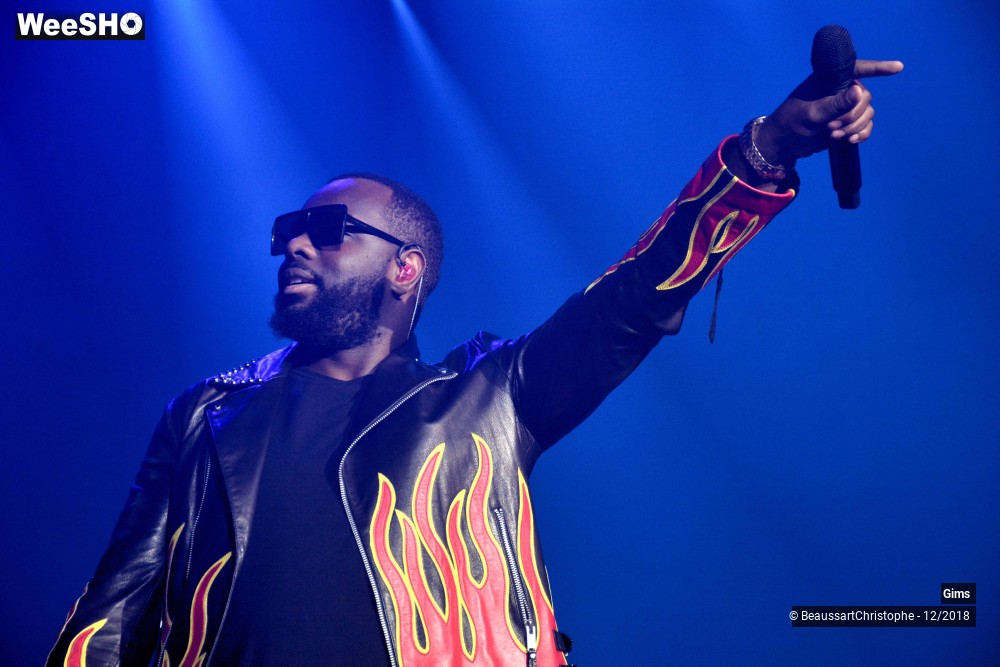 29/41 photos du spectacle Gims