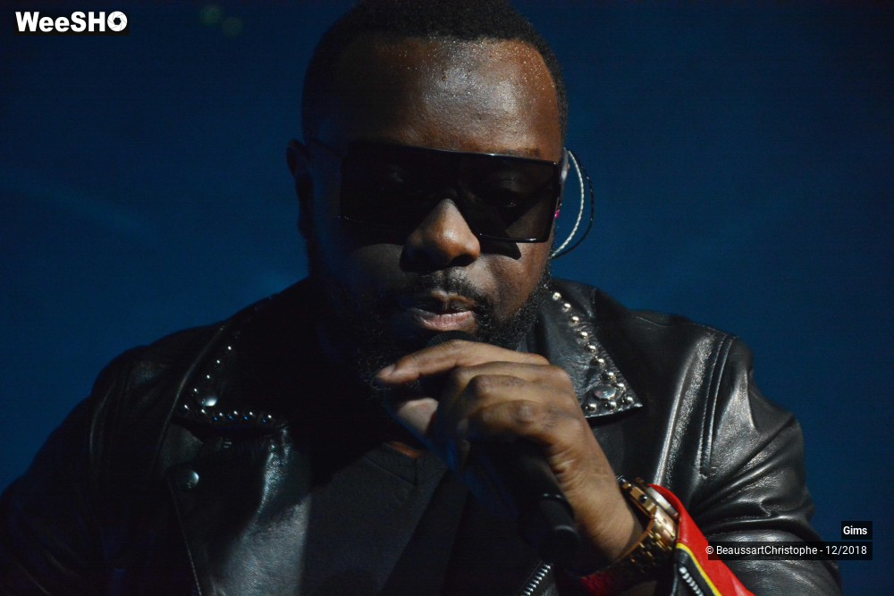 30/41 photos du spectacle Gims