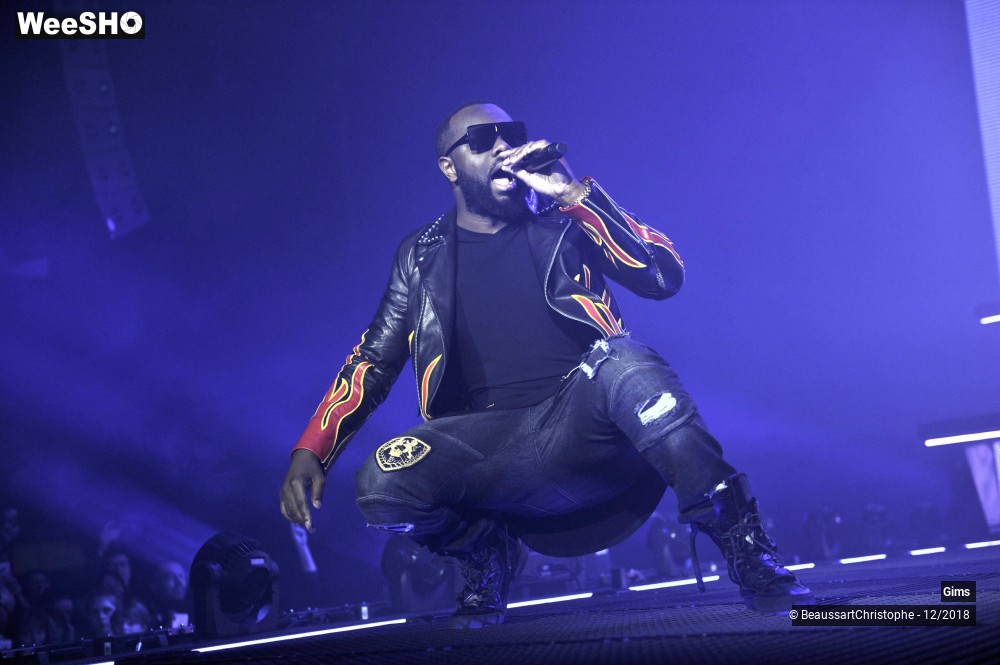 33/41 photos du spectacle Gims